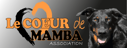 Logo Association Le Coeur de Mamba